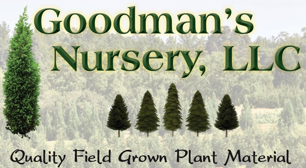 Goodman's Nursery